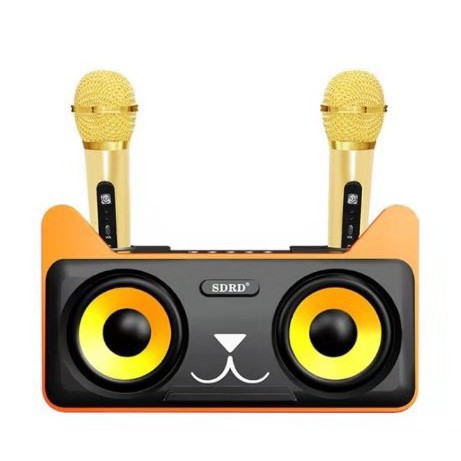 Dual Microphone Wireless Bluetooth Karaoke Portable 3D Stereo Speaker ...