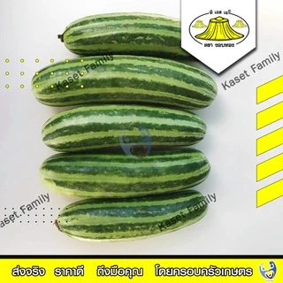 แตงไทยอ่อนสายเงิน 10 กรัม / 50 กรัม เมล็ดแตงไทย ตรางอบทอง (ขนาด 10 กรัมเป็นแบบซอง)