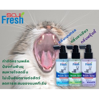 แหล่งขายและราคาลดแรง‼️Soji fresh โซจิ เฟรซ สเปรย์ลดกลิ่นปากสุนัข แมว ดับกลิ่นปากหมา ดับกลิ่นปากแมวอาจถูกใจคุณ