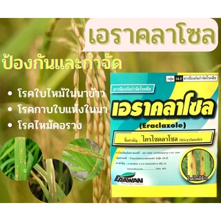 เอราคลาโซขนาด100กรัมใช้กำจัดโรคใบไหม้ที่มีสาเหตุมาจากเขื้อรา