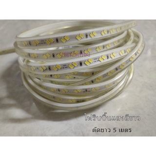 SMD 5730 LED StripLight ไฟริบบิ้น ไฟเส้น ยาว 5 เมตร IP65 กันน้ำ 220VAC แสงสีขาว