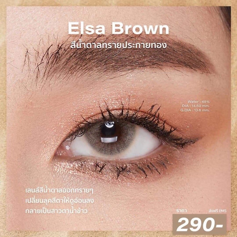 คอนเเทคเลนส์ Zplus  รุ่น elsa brown ค่าสายตา 0-1000