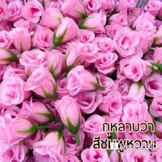 ดอกกุหลาบวาเลนไทน์ (เดี่ยว)
