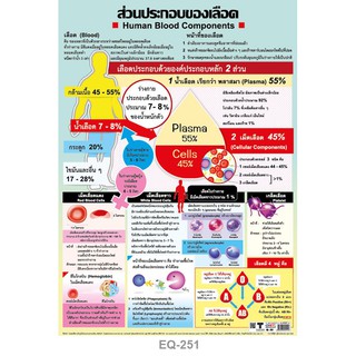 โปสเตอร์กระดาษเรื่องส่วนประกอบของเลือด #EQ-251