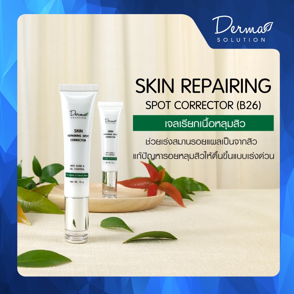 Skin Repairing Spot Corrector (15 g) หลุมสิว รอยแผลเป็น แก้หลุมสิว รอยแผลเป็นจากสิว รักษาหลุมสิว ยาล