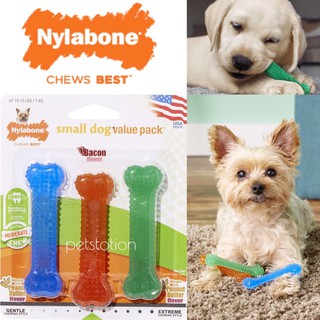 Nylabone Dental Kit ของเล่นขัดฟันสุนัข