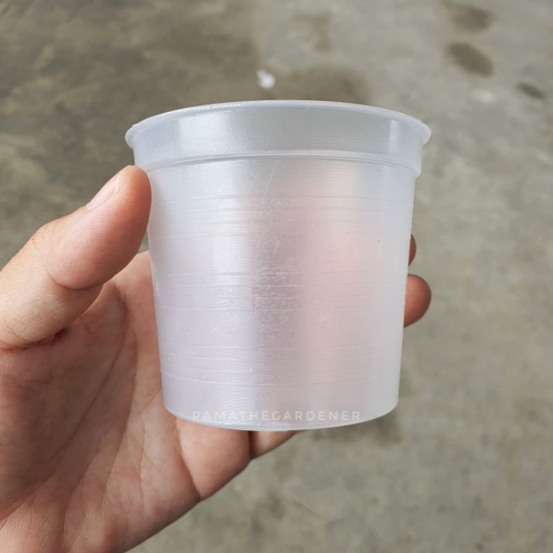 กระถางพลาสติกใส 3 นิ้ว โชว์ราก