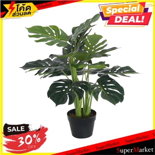 ต้นพลูฉีกประดิษฐ์ SPRING 75 ซม. ต้นไม้ประดิษฐ์ ARTIFICIAL MONSTERA SPING 75CM อุปกรณ์ตกแต่งสวน