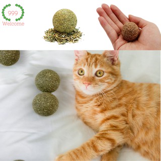 แคทนิป บอล  แคทนิบ แมว Cat ลูกบอลแคทนิป catnip ball ของเล่นแมวราคาถูก กรรไกรตัดเล็บแมว หวีขนแมว แปลงขนแมว