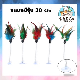 (C20301) พร้อมส่งของเล่นแมว สปริงขนนก 30 cm ไม้ตกแมว ไม้ล่อแมว