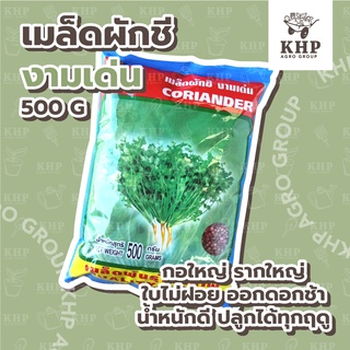 เมล็ดพันธุ์ ผักชี พันธุ์ งามเด่น ตรา สิงโต 🌿 โตไว กอใหญ่ รากใหญ่ น้ำหนักดี ปลูกได้ทุกฤดู 🌿 บรรจุ 500 กรัม