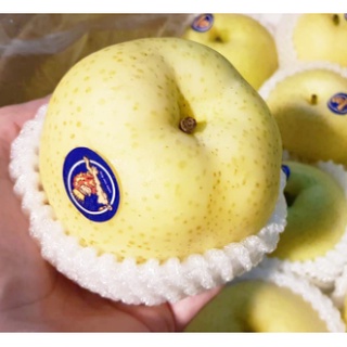 TOP-1สาลี่ทอง (ยกลัง18ลูก) (CHN) ~ลดพิเศษ~ Premium Chinese Pears หอม หวาน อร่อย ! ผลไม้นำเข้า ผลไม้สด (ขายส่ง ราคาส่ง)