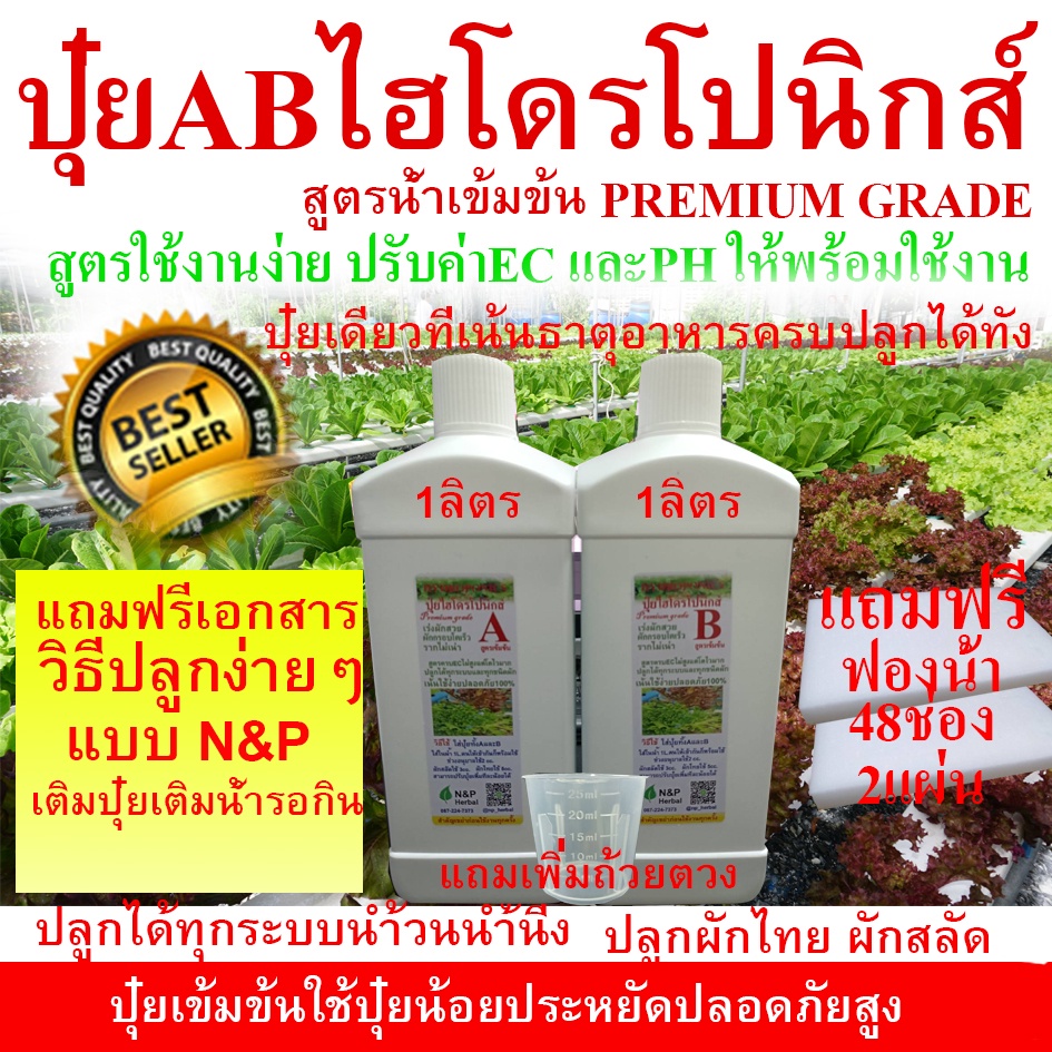ปุ๋ยไฮโดรโปนิกส์ปุ๋ย AB