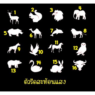 ตัวรีดสะท้อนแสง รีเฟล็กซ์ set 11