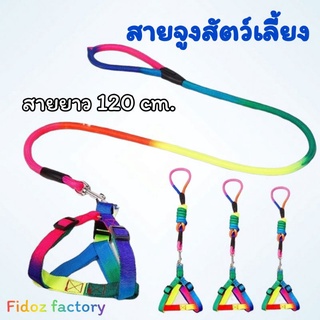 Fidoz​ factory​ สายจูงสุนัข​ เชือกจูงสัตว์​เลี้ยง​ สายจูงหมา​ แมว​ เชือกฝึกหมา