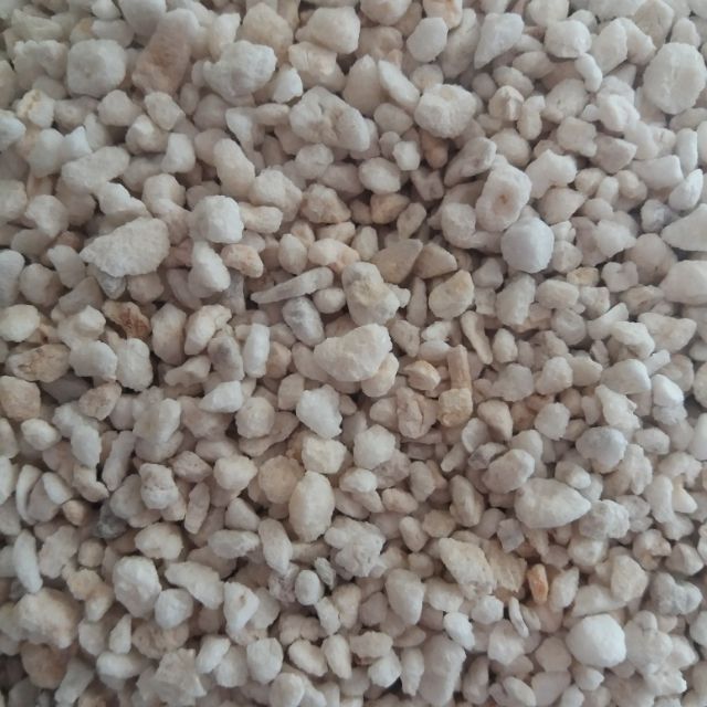 เพอร์ไลท์ perlite ใช้ผสมเครื่องปลูก เครื่องปลูกพืชกินแมลง เพิ่มความเป็นกรดให้ดินปลูก