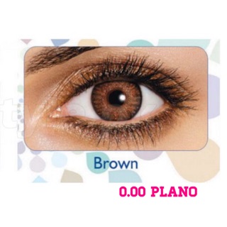 SHOP120 ลด120฿ Freshlook Colorblends สี Brown ไม่มีค่าสายตา