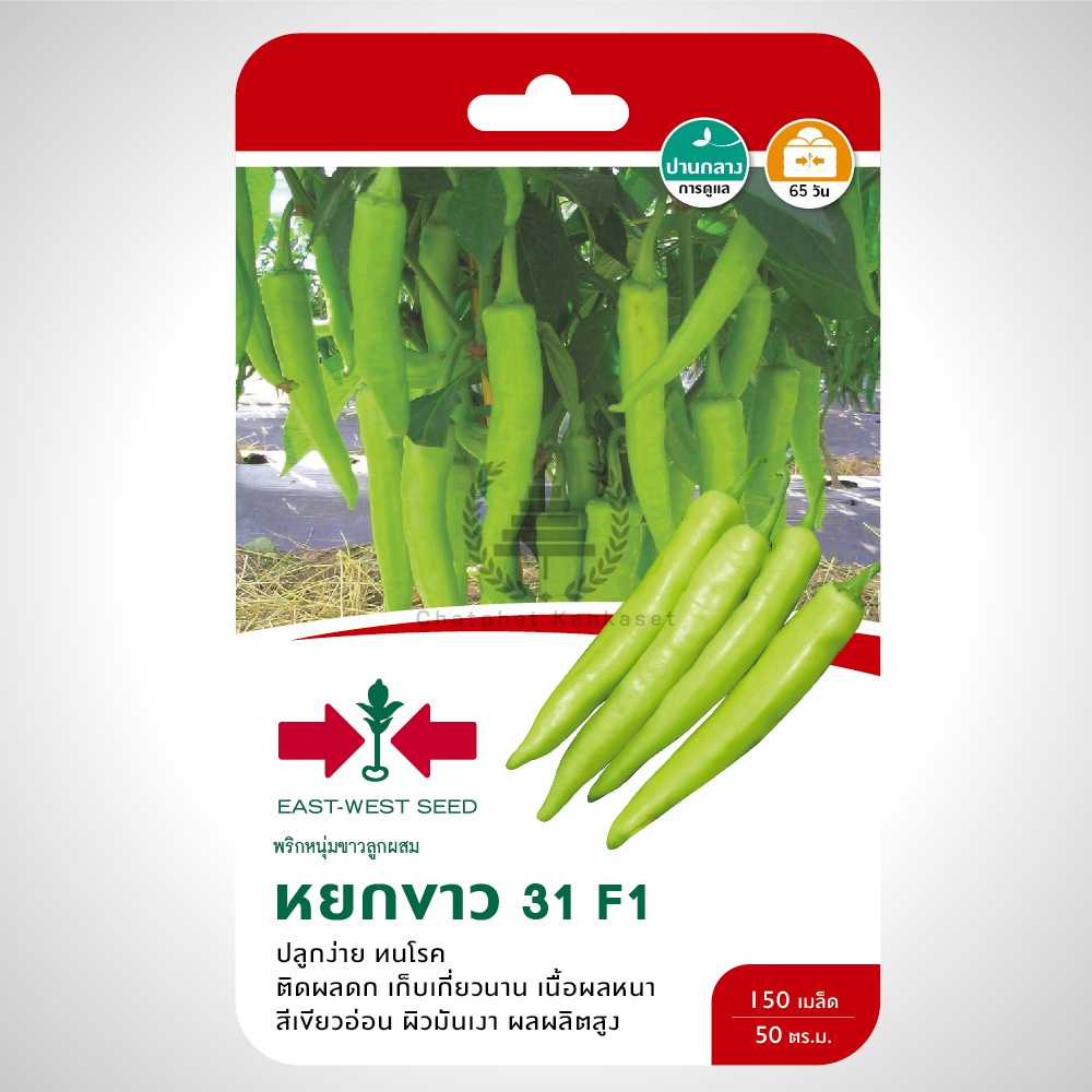 เมล็ดพันธ์ุ พริกหนุ่มขาว หยกขาว 31 บรรจุ 150 เมล็ด/ซอง ตราศรแดง