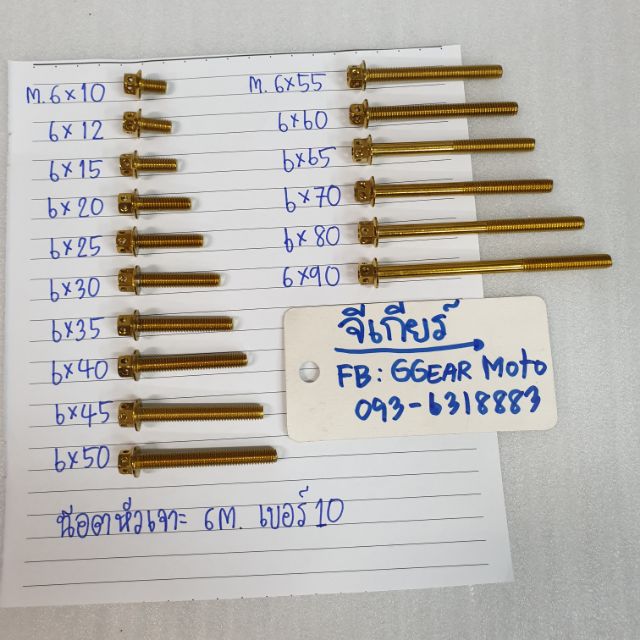 น็อตทองหัวเจาะ น็อตไทเทหัวเจาะ เบอ10 (6M.) – โปรปัง