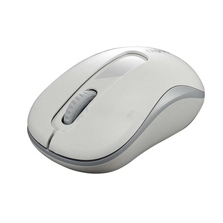 เม้า RAPOO WIRELESS MOUSE (MSM10-PLUS)(By Shopee  SuperTphone1234)