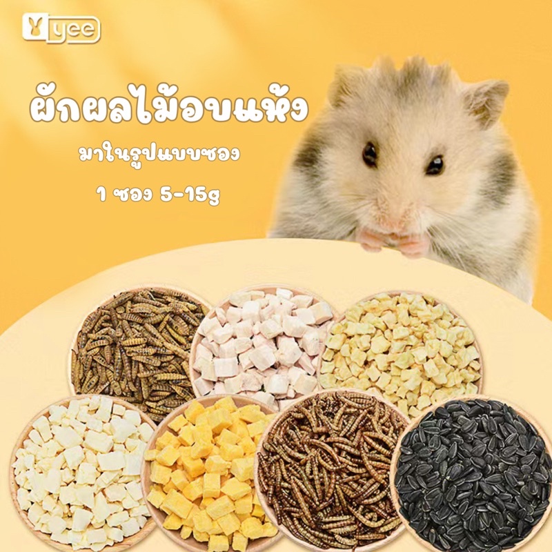 [ crazy pet shop ] ผักผลไม้อบแห้ง หลากหลายรสชาติ สำหรับสัตว์เลี้ยงแฮมสเตอร์ทุกสายพันธุ์