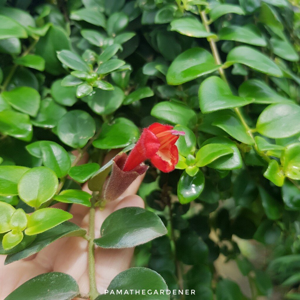 มุมมอง 3