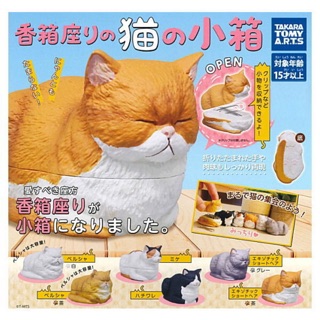 ของใหม่(มีไข่+ใบปิด) Gachapon Cat Mini Box (กาชาปอง แมวจิ๋ว)