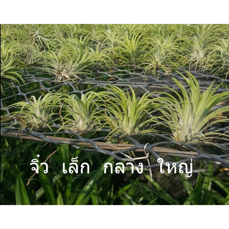 มุมมอง 2