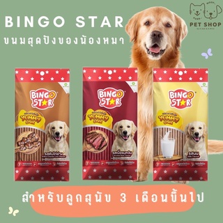 Bingo star Yummy Stick ขนมสุนัข ชนิดแท่ง ทุกรสชาติ ขนาด 70 กรัม