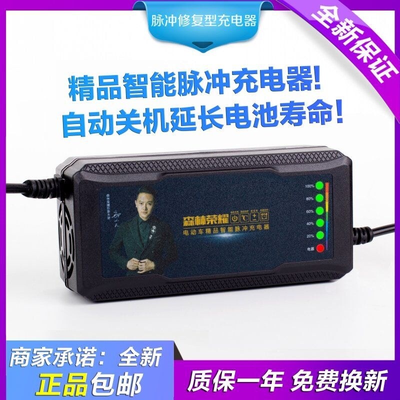 Automatic power off smart electric vehicle battery charger 48V12AH60V20AH72 Emma Yadi three-wheel ge