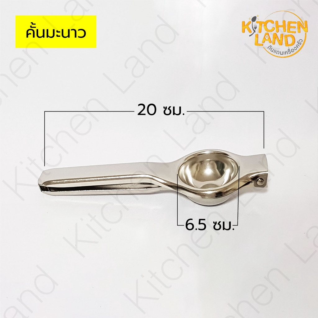 คั้นมะนาวสแตนเลส ที่คั้นส้ม ที่บีบน้ำมะนาวสแตนเลส - รูปที่ 3