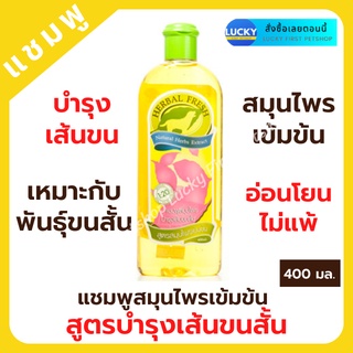 Herbal fresh เฮอบัลเฟรช สูตรสุนัขขนสั้น แชมพูสมุนไพรเข้มข้นสำหรับสุนัข แชมพูสุนัข แชมพูสมุนไพร ผลิตจากสมุนไพร 400 มล.