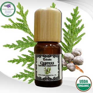 Cypress USDA Organic Essential Oil น้ำมันหอมระเหย ไซเปรส์ซ ออร์แกนิค