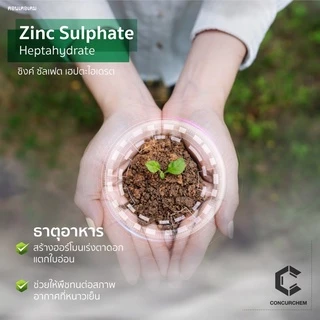 ซิงค์ ซัลเฟต สังกะสีซัลเฟต Zinc Sulphate Heptahydrate ขนาด1กิโลกรัม