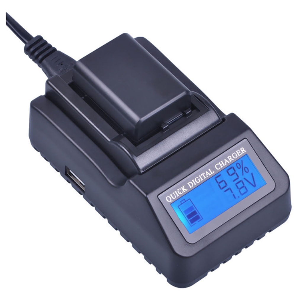 Chargeur de voyage de marque propre pour Panasonic VW-VBN130 et VW-VBN260