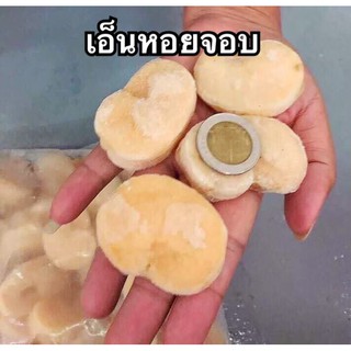 [ลูกค้าใหม่ 1 บาท] เอ็นหอยจอบ เอ็นหอยจอบสด