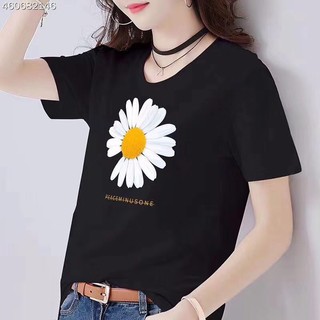 ขายส่ง!! 68 บาท เสื้อยึดลายดอกเดซี่ และอื่นๆ หลากลายลาย Wholesale เสื้อสวมใส่สบาย