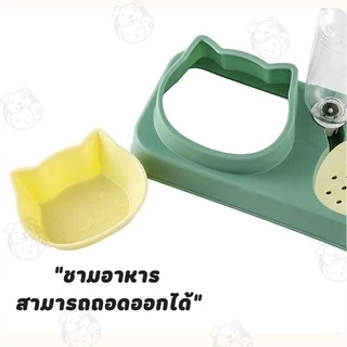 ชามให้อาหารพร้อมน้ำสำหรับสุนัขและแมว รูปสตอเบอร์รี่ แบบ1หลุม มาพร้อมกับขวดน้ำที่ให้น้ำอัตโนมัติ ML