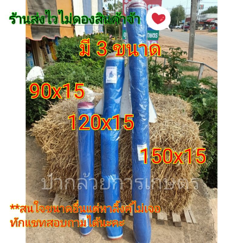 My Image 20