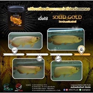 ARO PLUS วิตามินเร่งสีปลามังกร ปลาอโรวาน่า แบบผง Vitamin for Arowana ขนาด 10 กรัม