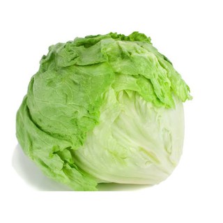 เมล็ดพันธุ์ ผักกาดแก้ว ( Iceberg lettuce seeds ) บรรจุ 200 เมล็ด​