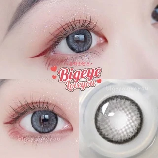 คอนแทคเลนส์ รุ่นตาประกายสวยสุดๆ🌈Apple Bloom🌈 Brown / Gray (Luxzylens) ขนาดกลาง💖