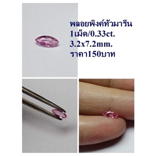 พลอยพิ้งค์ทัวร์มารีน