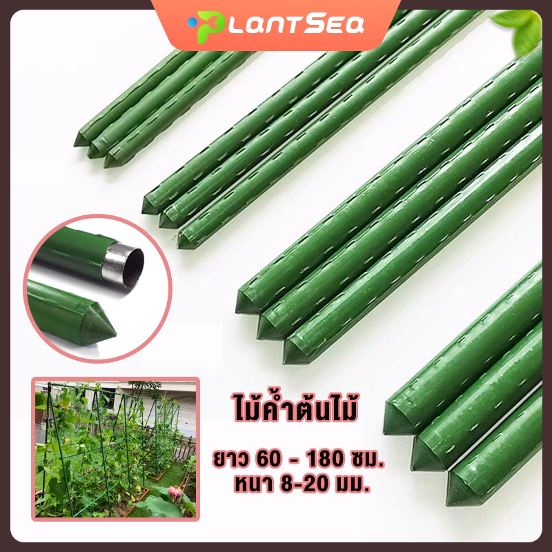 ไม้ค้ำยันต้นไม้ ยาว 60-180 ซม. หนา 8-16 มม. หลักไม้ค้ำ เสามะเขือเทศ ซุ้มไม้ ไม้ค้ำต้นไม้ สำหรับยางอินเดีย✨ทนทาน กันปลวก