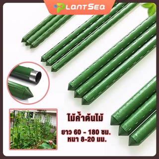ไม้ค้ำยันต้นไม้ ยาว 60-180 ซม. หนา 8-16 มม. หลักไม้ค้ำ เสามะ…