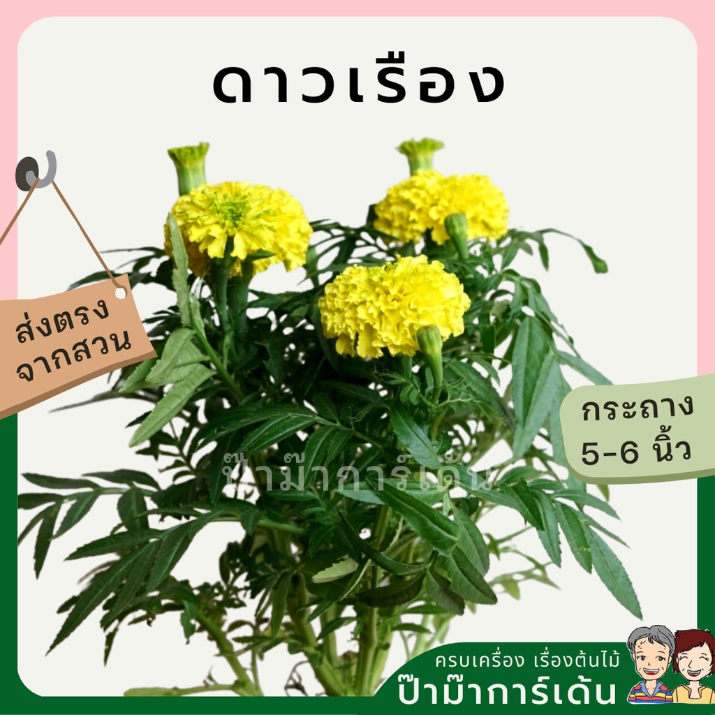 มุมมอง 3