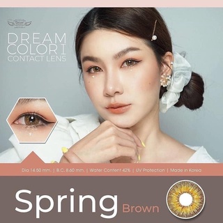 บิ๊กอาย รุ่น Spring  สี น้ำตาล เทา  ***แบบสายตาสั้น