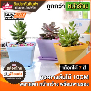 *รุ่นหน้ากว้าง* Buymore กระถาง พลาสติก กระถางแคคตัส สี่เหลี่ยม หน้ากว้าง พร้อมจานรอง ขนาด 10cm กระถางต้นไม้