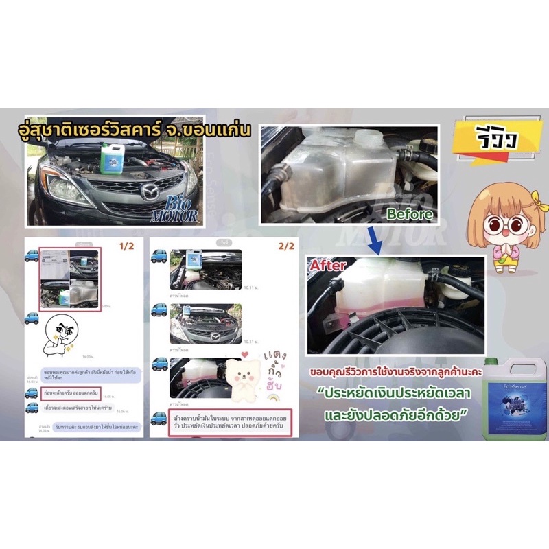 Biomotor น้ำยาล้างคราบน้ำมันในเครื่องยนต์ - รูปที่ 3