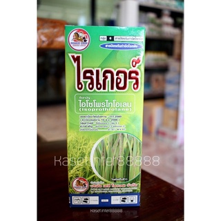 ไรเกอร์(ไอโซโพรไทโอเลน) 1000 ml. กำจัดโรคใบไหม้ในนาข้าว และสวนผลไม้ เช่นโรคใบติดในทุเรียน